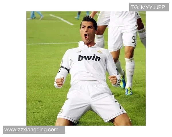 探索足球明星的辉煌成就与传奇故事带你走进绿茵场的精彩世界